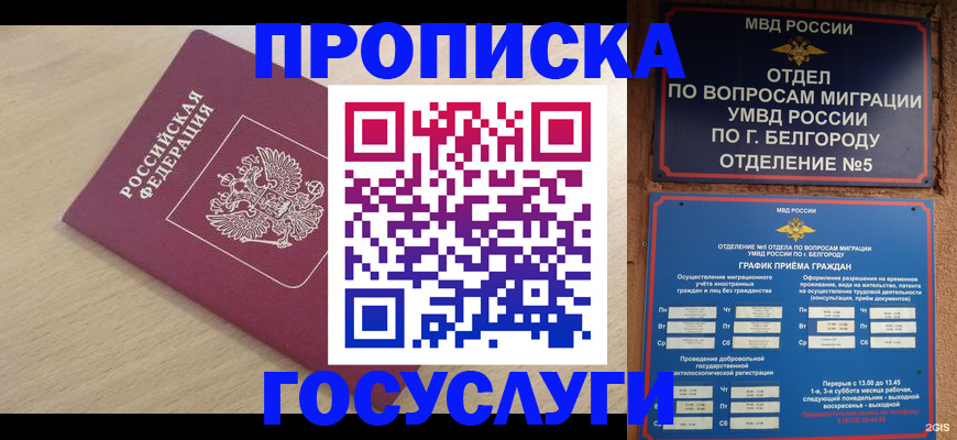 прописка законно в Баймаке